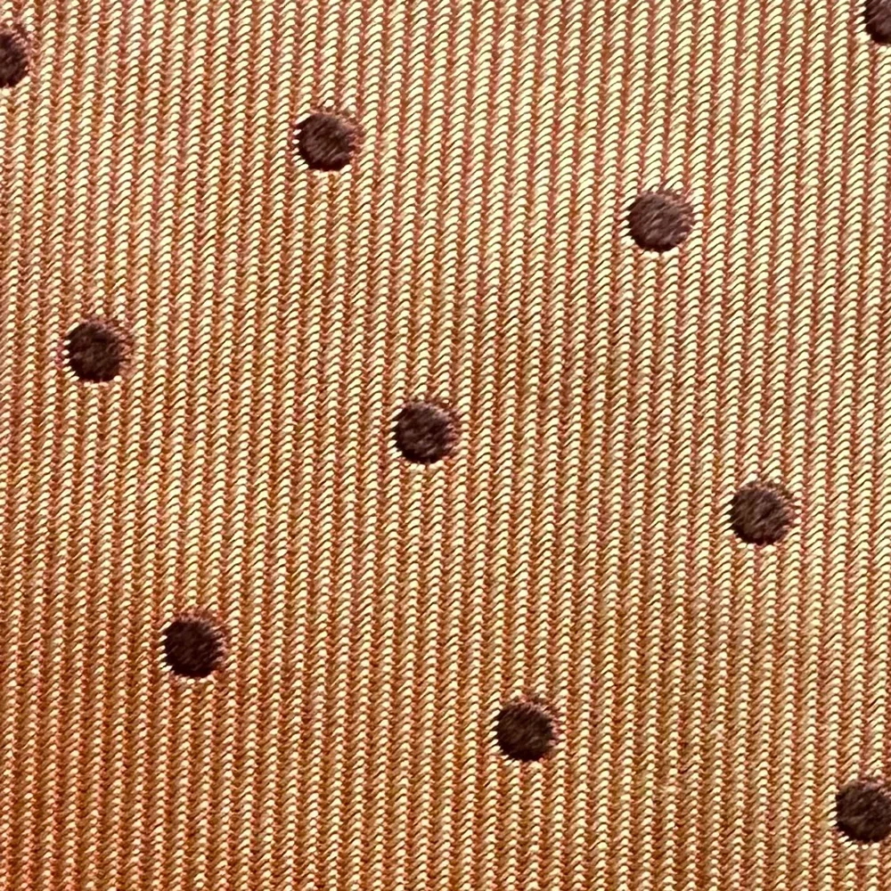 Alexander McQueen Classic Polka Dot Silk Tie